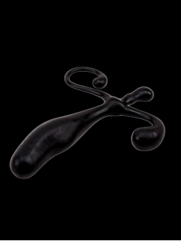 Stimulateur de Prostate Chisa Novelties