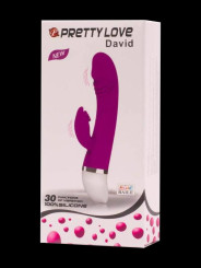 Vibromasseur Pretty Love David 30 vitesses