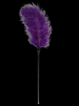 Plumeau Teasing Violet 56cm EASY TOYS
